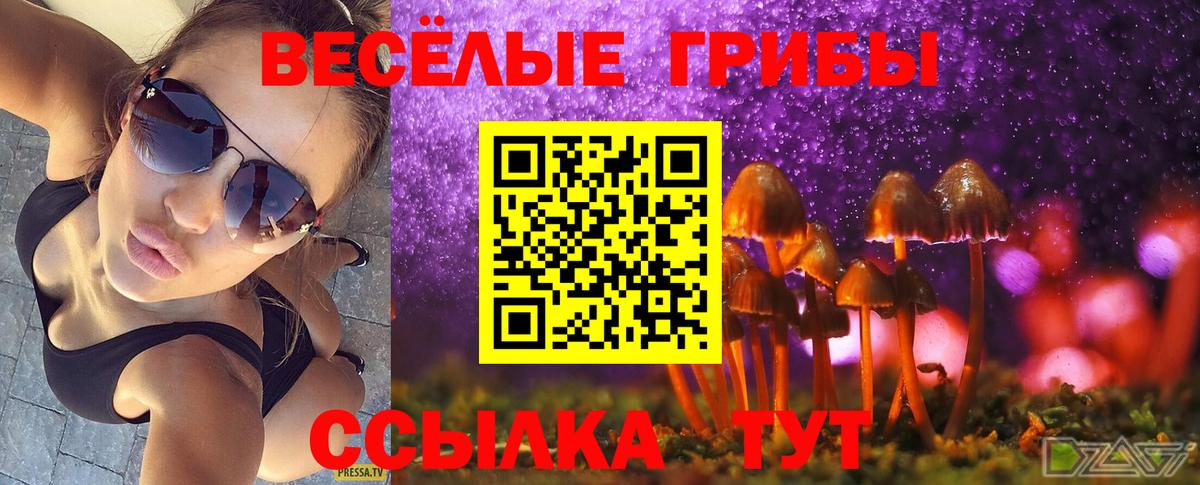 Галлюциногенные грибы GOLDEN TEACHER  Вход с VPN  закладки  Галлюциногенные грибы Cubensis  Кингисепп 