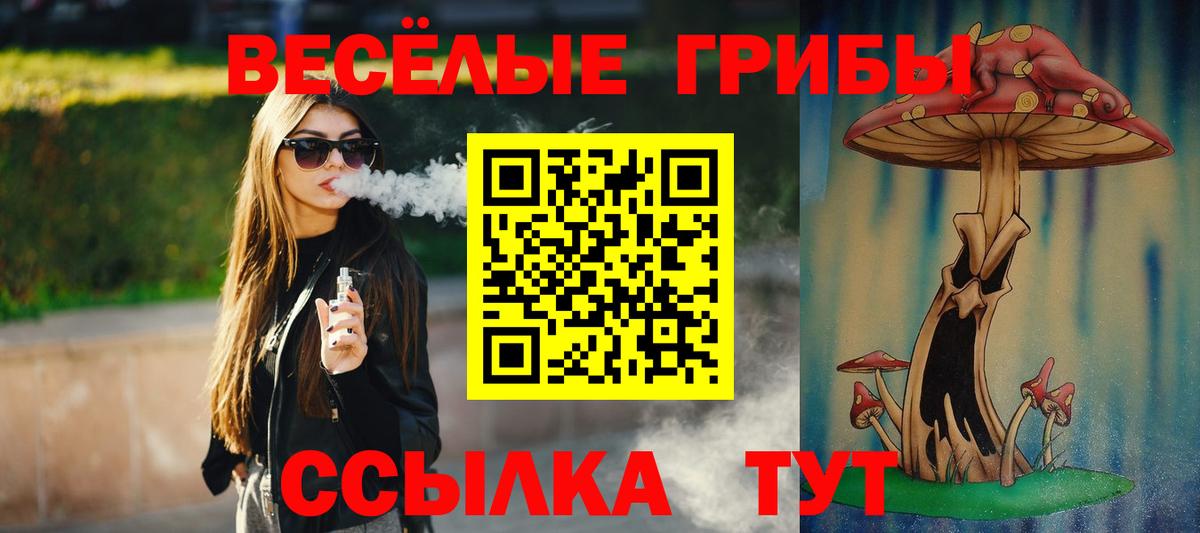 Галлюциногенные грибы Magic Shrooms Кингисепп